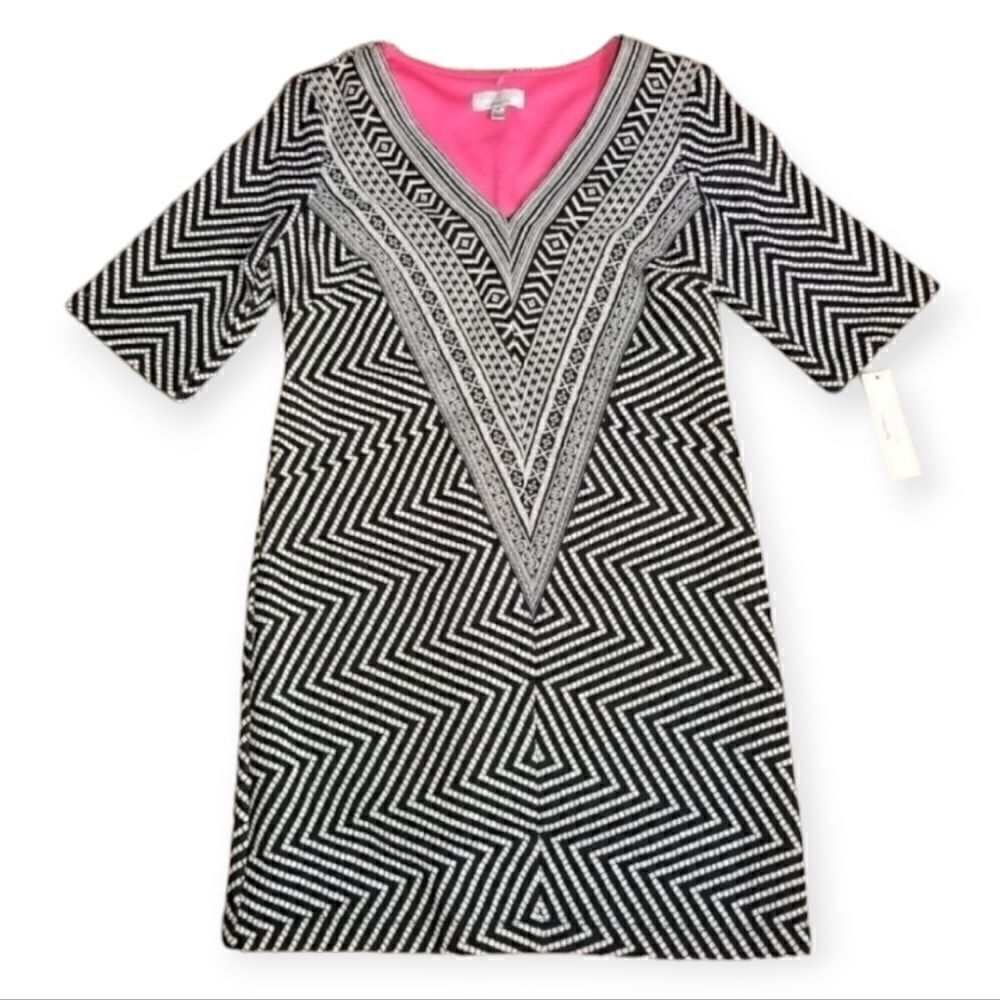Signature by robbie bee vneck dress